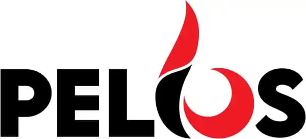 Pelios Kaminshop logo